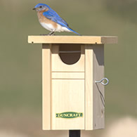 Duncraft Gilwood Bluebird Nest Box Bird House & Pole
