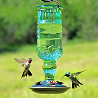 Antique Bottle Hummingbird, Large
