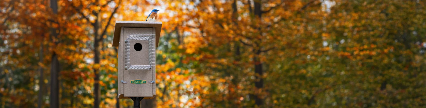 Wooden birdhouse on a post with DUNCRAFT label, an Eastern bluebird perched on top, set in an autumn forest.
