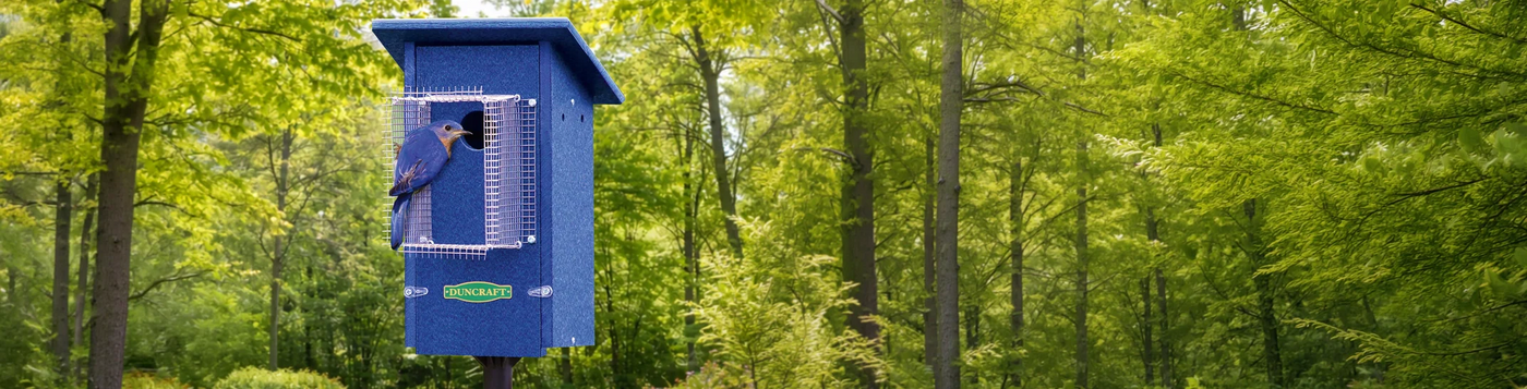 Blue wooden Duncraft birdhouse on a post, featuring a predator guard. A bluebird perches at the entrance hole in a leafy forest.