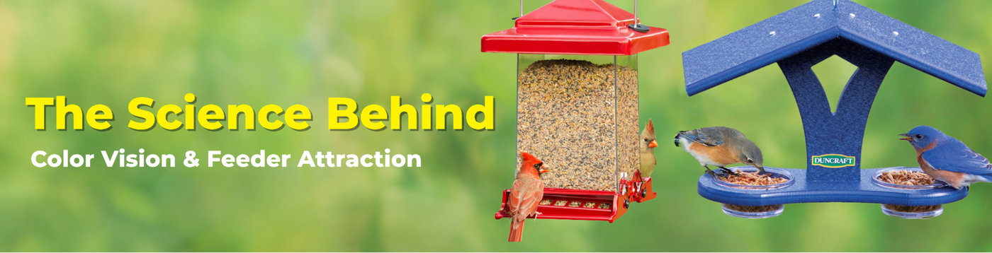 Banner graphic: The Science Behind Color Vision & Feeder Attraction with a red seed feeder attracting cardinals and a blue platform feeder attracting bluebirds.