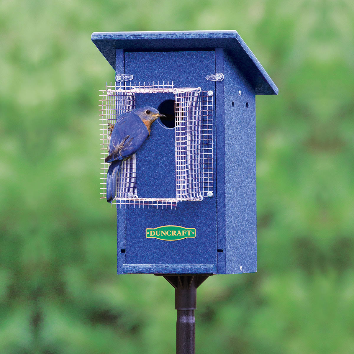 Edelstahl-Schutzgitter Für Vogelhäuser – Hält Katzen & Raubtiere Fern (2 Stück, Rund)