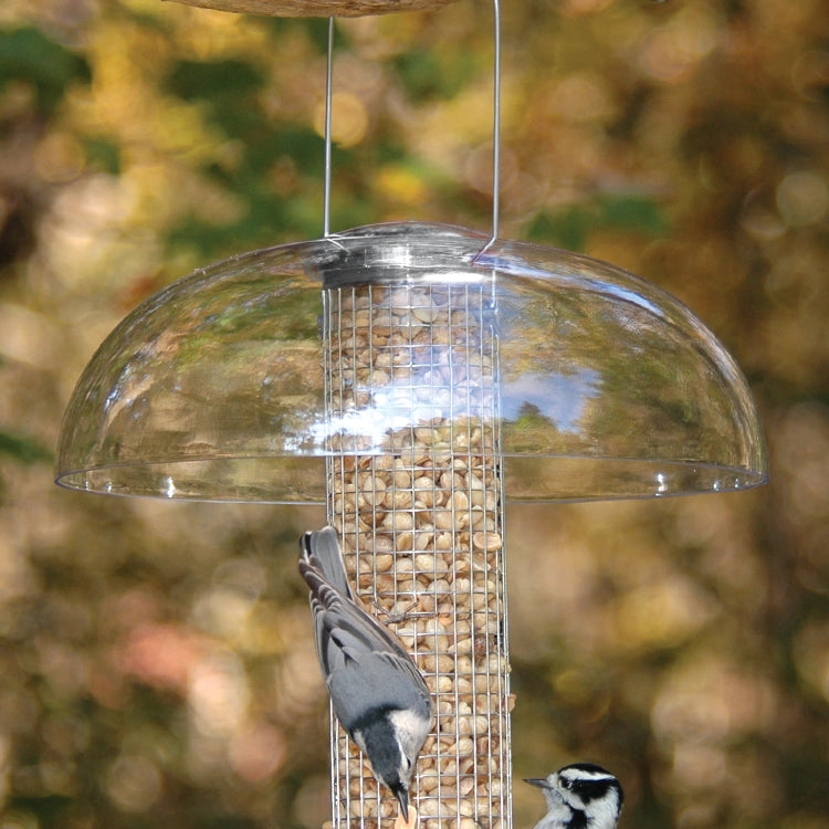 Aspects Tube Top Baffle protecting a bird feeder from rain, ensuring seed stays dry while a bird feeds. Clear dome offers an unobstructed view.
