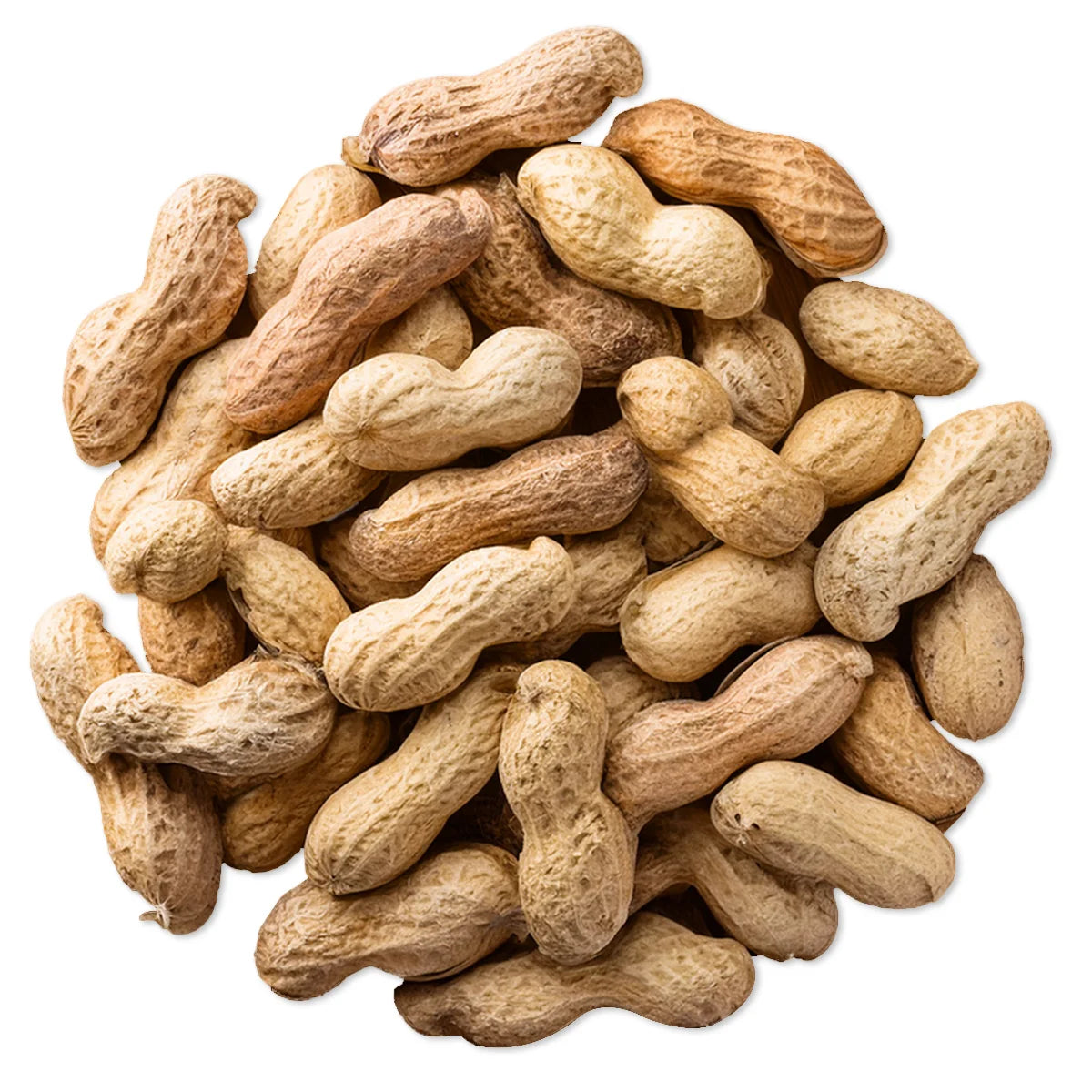 Duncraft Whole Peanuts In The Shell Wild Bird Seed, 25-lb bag; a pile of unshelled peanuts, ideal for attracting woodpeckers and jays with high-energy nutrition.