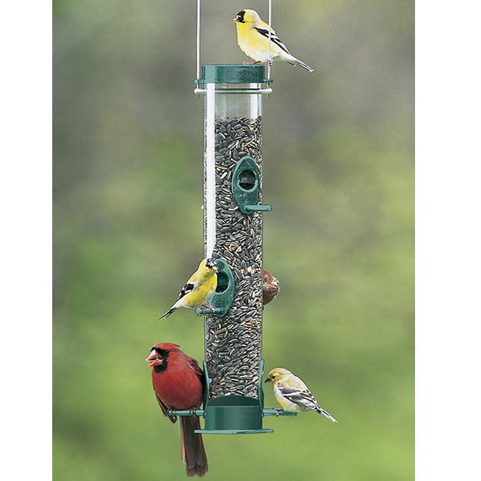 Duncraft Original Tube Feeder with birds perched, showcasing its durable design with metal feeding ports and a clear tube for easy seed level viewing.