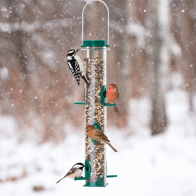 Duncraft Original Tube Feeder filled with seeds, featuring a woodpecker, chickadee and other birds feeding. Durable, chew-proof design with six metal ports.