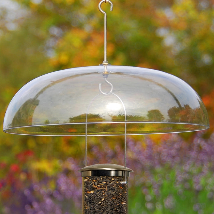 Clear dome bird feeder with seeds against a blurred garden background