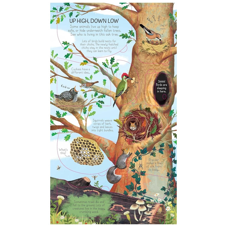 Illustration from Look Inside Animal Homes, showcasing diverse creatures inhabiting an oak tree, highlighting bird nests, squirrels, and forest floor life.