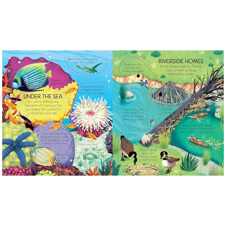 Children’s book Look Inside Animal Homes spread: coral reef with fish, starfish, turtle; riverside with beaver, kingfisher, trout, Canada geese building homes.