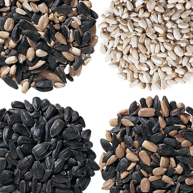 Duncraft Cardinal's Wild Bird Seed Sampler, Set of 4