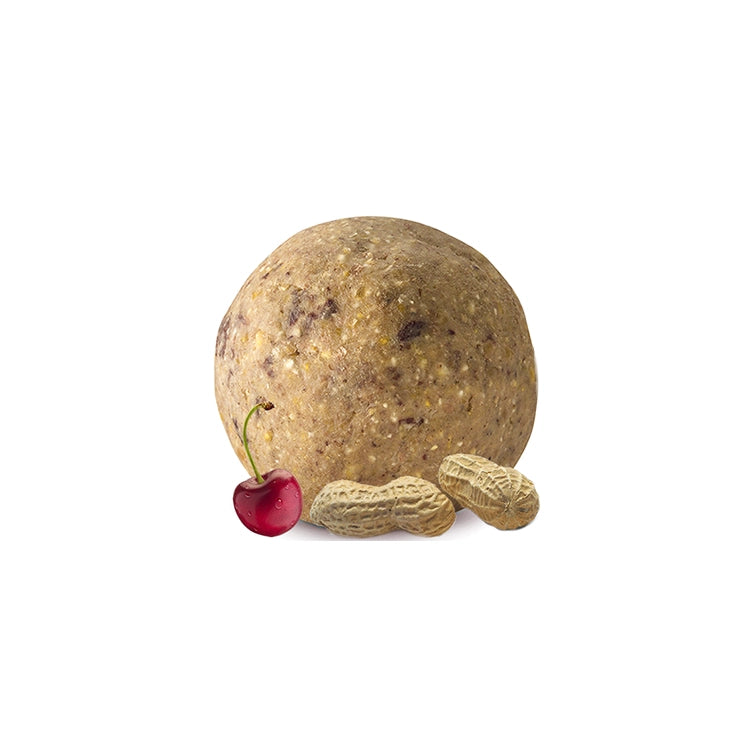 Fruit & Nut Suet Ball shown with peanuts and cherry, highlighting its berry and nut composition for attracting birds. Perfect for suet ball feeders.
