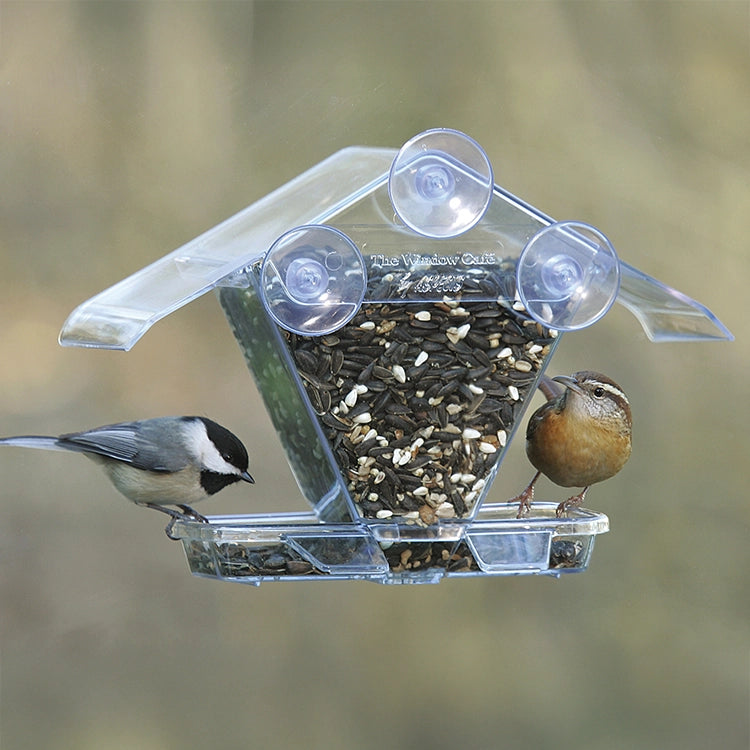 Two birds perched on a clear bird feeder filled with seeds against a blurred natural background