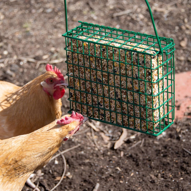 EZ Fill Suet & Block Feeding Basket with green wire mesh, holding a seed cake, with two chickens pecking at it in a garden setting.