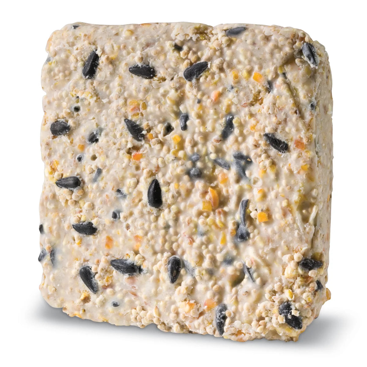 Sunflower Suet Plus, 12 Cakes: A compact suet-and-seed block featuring visible sunflower seeds, millet, and corn, designed for nourishing wild songbirds throughout the year.