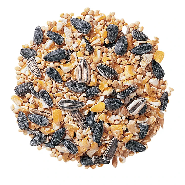 Duncraft Backyard Basics Wild Bird Seed, 5-lb bag featuring black oil sunflower seeds, cracked corn, and millet to attract buntings, chickadees, and more.