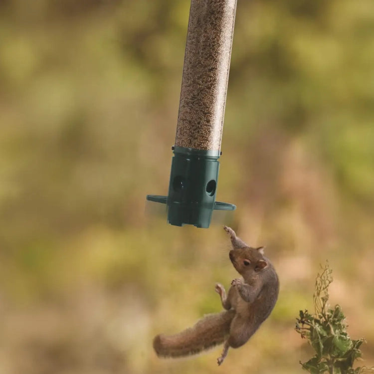 Mini Magnet Squirrel Resistant Feeder