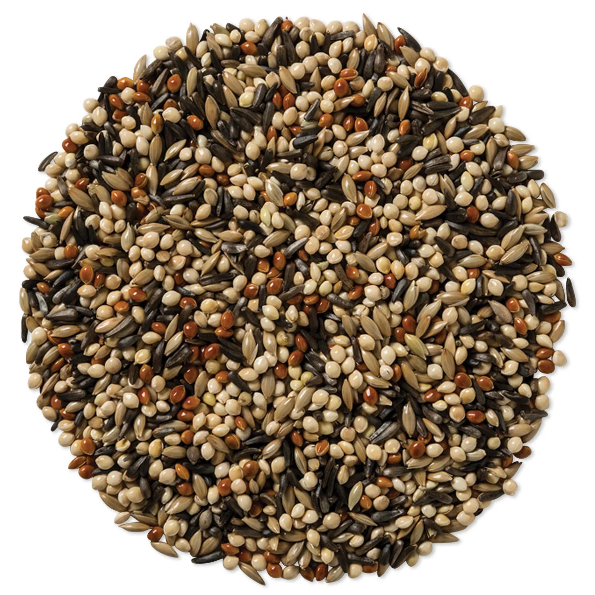 Wild Delight Outdoor Finch Wild Bird Seed, 5-lb bag, featuring a mixture of seeds, including millet and Nyjer®, ideal for attracting finches to your backyard feeder.