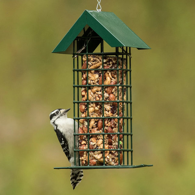 Wild Delight Seed Block Feeder with a peaked roof, showcasing a Downy Woodpecker feeding on the seed block, ideal for backyard bird watching.