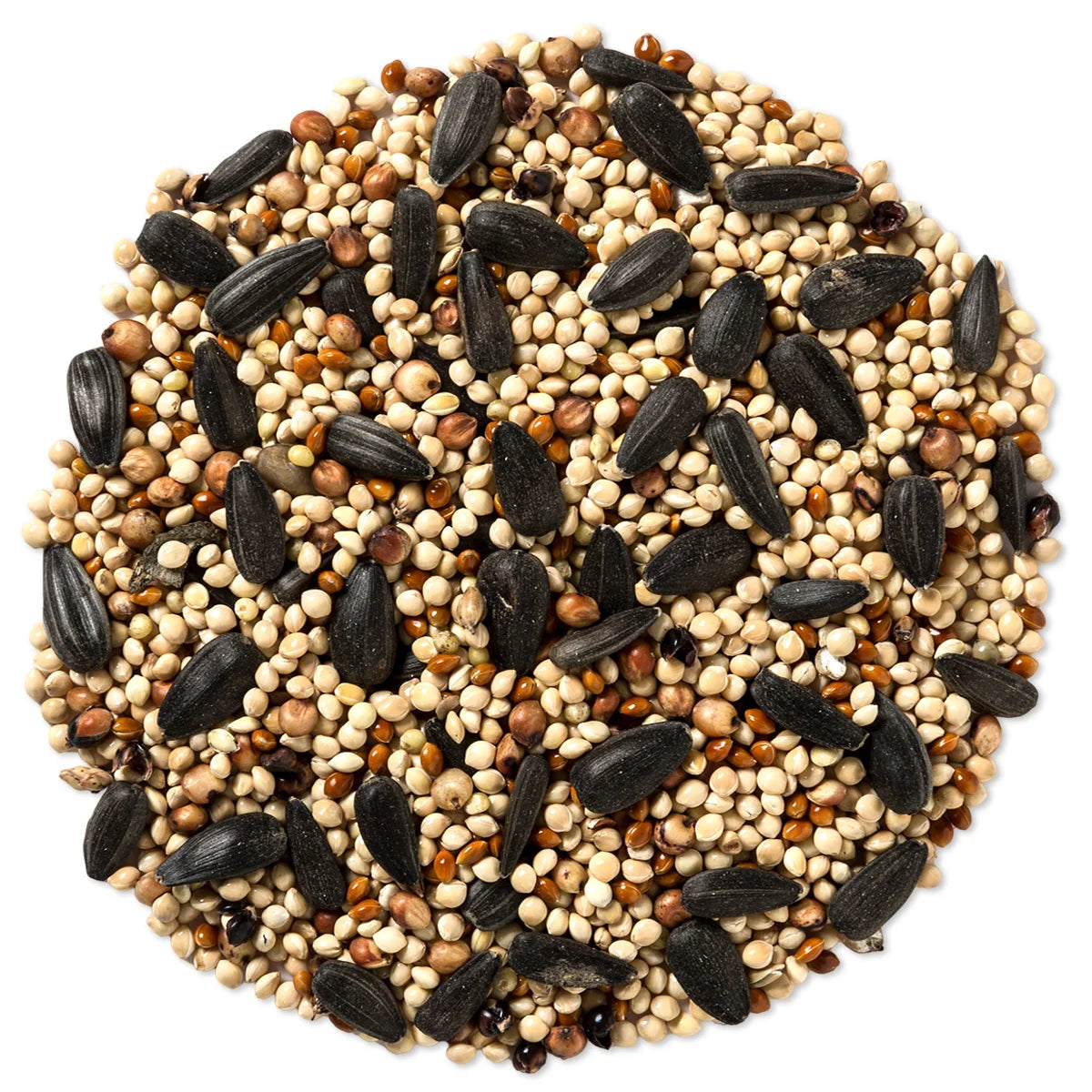 Wild Delight Buffet Wild Bird Seed, 10-lb bag, showcasing a premium blend with millet, black oil sunflower seed, and milo, ideal for attracting seed-eating birds.