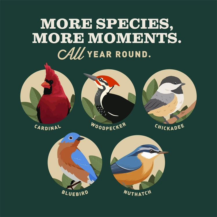 "More species, more moments, all year round.” Illustrations of a cardinal, woodpecker, chickadee, bluebird and nuthatch.
