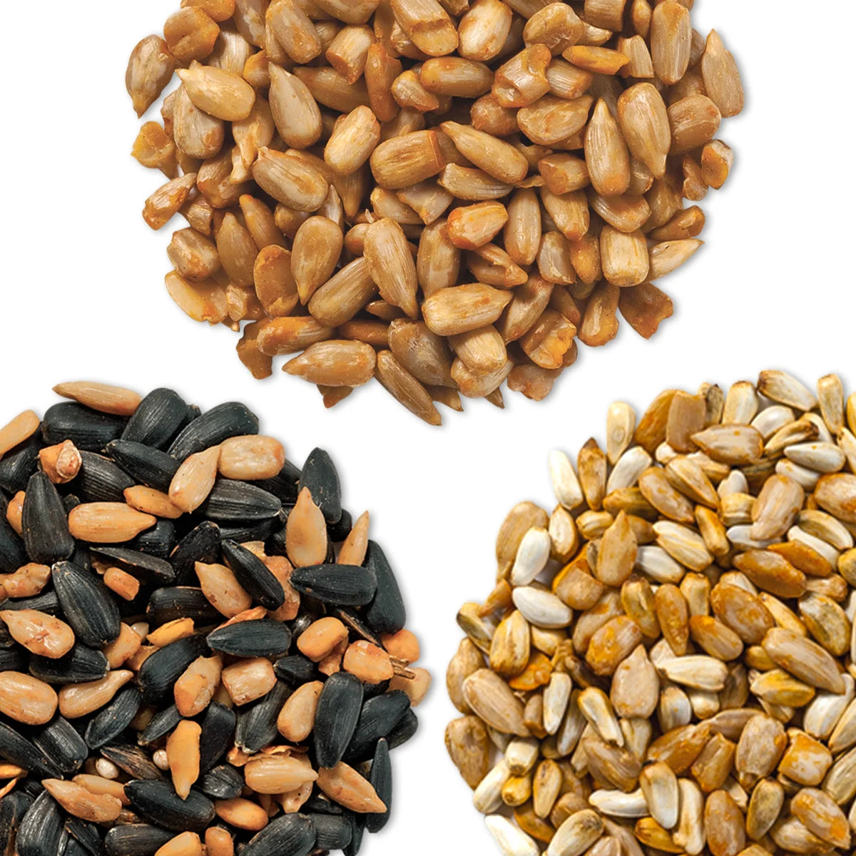 Cole's Hot Wild Bird Seed Sampler, Set of 3, featuring spicy seeds with habanero oil to attract birds and deter squirrels, shown close-up with seeds visible.