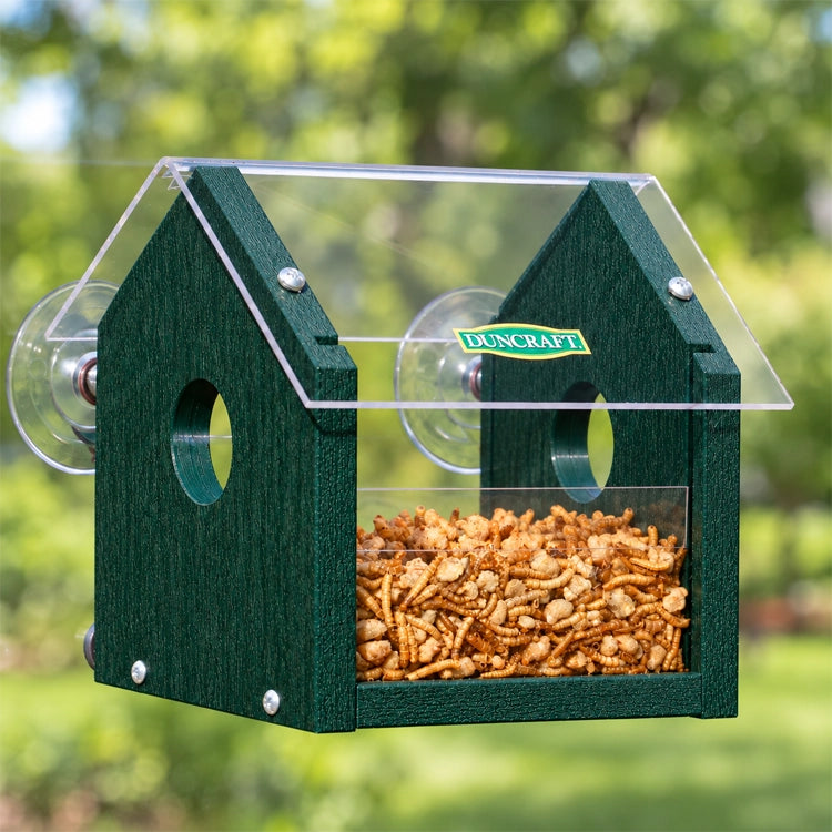 Duncraft Window Mealworm Feeder shown on a window with side openings, for bird access featuring a clear plastic roof and suction cups for window attachment.