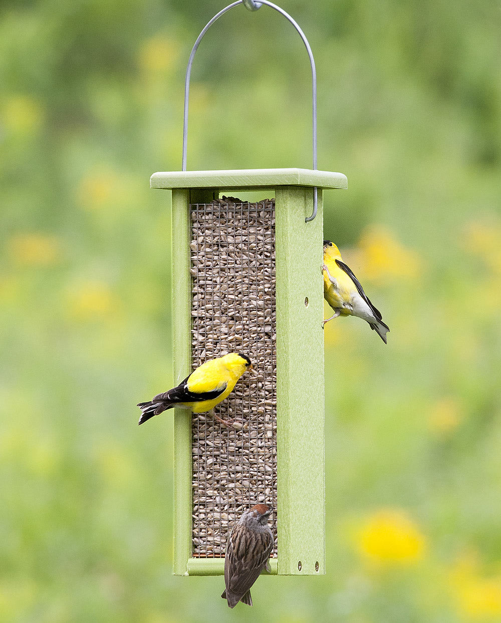 Duncraft Eco-Strong Mesh Feeder with birds clinging and feeding from both sides, featuring a durable wire mesh and easy top filling.