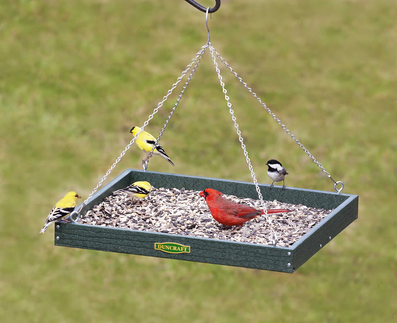 Duncraft XL Hanging Platform Bird Feeder