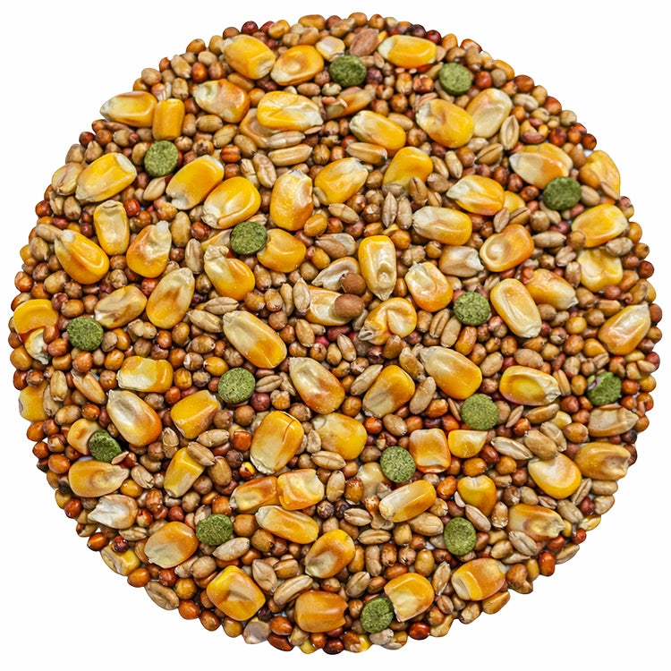 Circle of the seed that is in the Brown's Bird Lover's Blend® Duck & Goose Blend Seeds on a white background. Corn, milo, wheat, soybean meal, pellets and more.