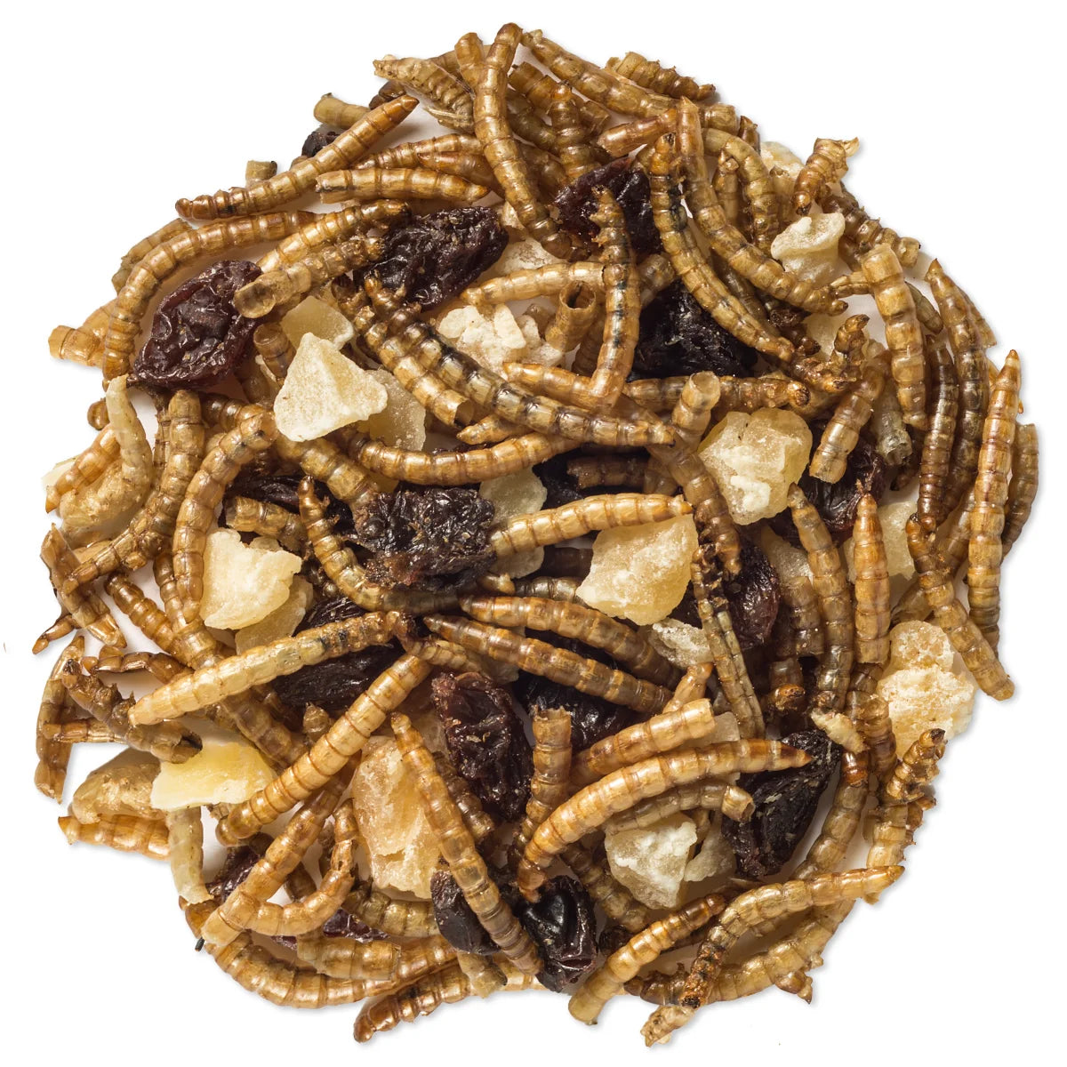Duncraft Mealworm, Apple & Raisin Trail Mix Wild Bird Food, featuring a close-up of dried mealworms, raisins, and apple pieces, packed for protein-rich bird feeding.