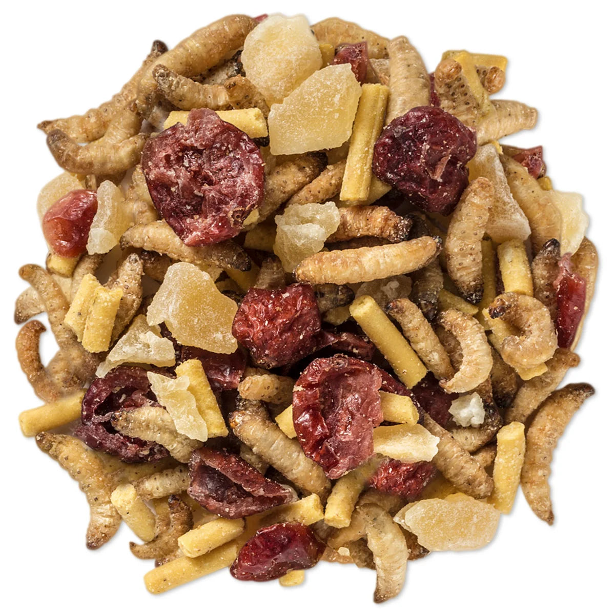 Duncraft Energizer Trail Mix Wild Bird Food, showcasing a mix of roasted waxworms, apple pieces, cranberries, and insect suet pellets for protein-packed bird nutrition.