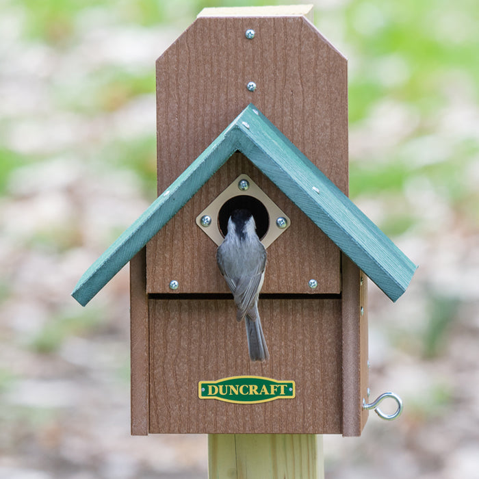 Duncraft Bird-Safe® Out of Reach Bird House: Bird perched in a wooden birdhouse with predator guard and metal portal protector, designed for bluebird safety and easy cleanout.