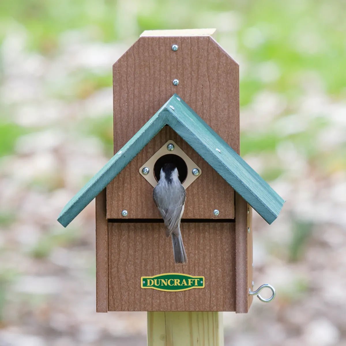 Duncraft Bird-Safe® Out of Reach Bird House with green roof and chickadee at entrance, featuring predator guards and easy cleanout panel.