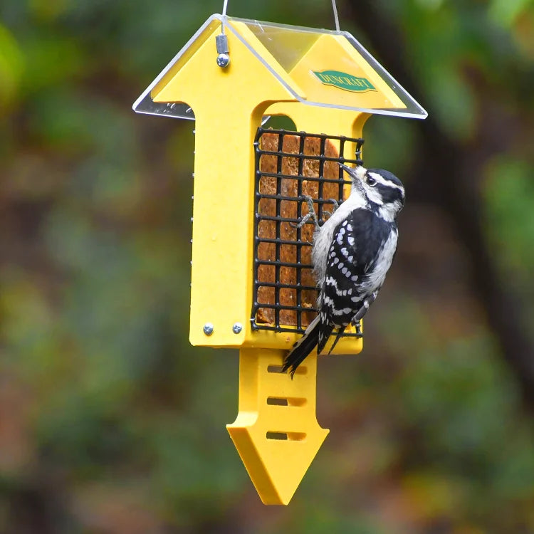 Duncraft Yellow Arrow Tail Prop Suet Feeder with a Downy Woodpecker feeding on suet, featuring a house shape and wire grid for easy bird access.
