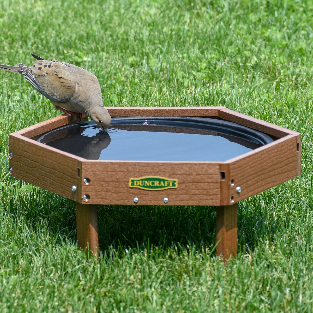 Duncraft Hexagon Ground Birdbath on a lawn, with a dove drinking from its rim. Features short legs, octagonal shape, and built-in perching space.