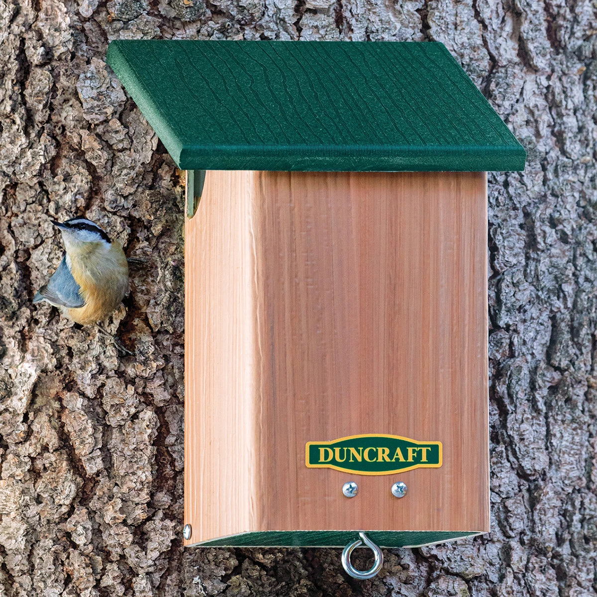 Duncraft Brown Creeper & Nuthatch Side Entrance House with green roof on tree trunk, nuthatch nearby, DUNCRAFT label visible, metal hanging ring at the bottom.