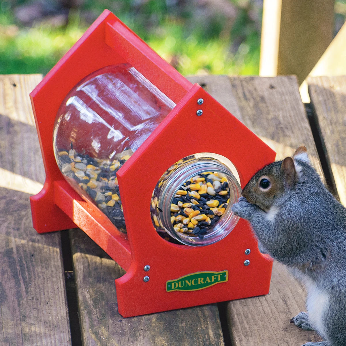 Duncraft Deck Squirrel Jar featuring a gray squirrel reaching into a glass jar of seeds, held in a red frame on a wooden deck.