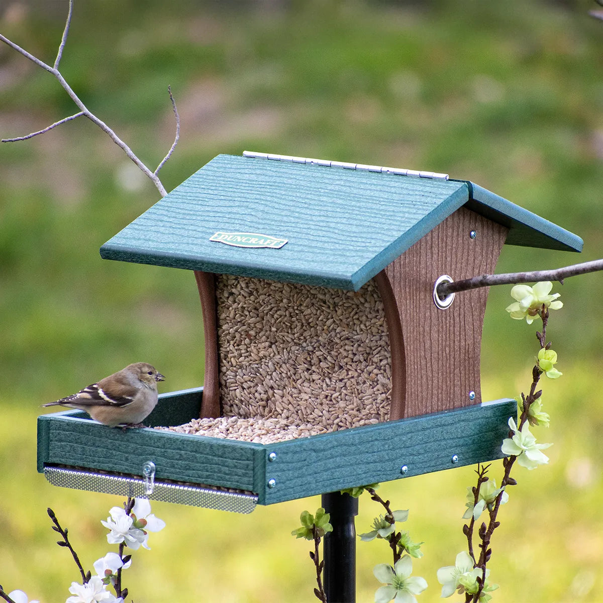 Duncraft Back to the Woods Cardinal Landing Tray with Pole: Green-roofed feeder, full seed tray, finch feeding, budding branches, mounted on a 72-inch pole.