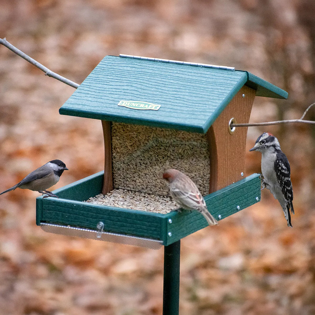 Duncraft Back to the Woods Cardinal Landing Tray with Pole, showing three birds feeding on sunflower seeds, features a protective roof and extended tray.