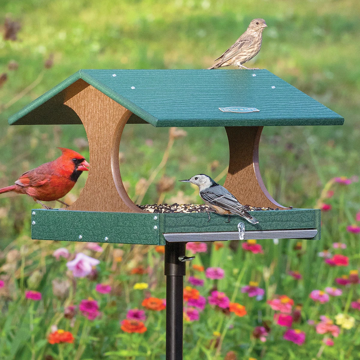 Duncraft Bird Watcher's Post Feeder with green roof on a pole, showcasing feeding Northern Cardinal, white-breasted nuthatch, and female house finch.