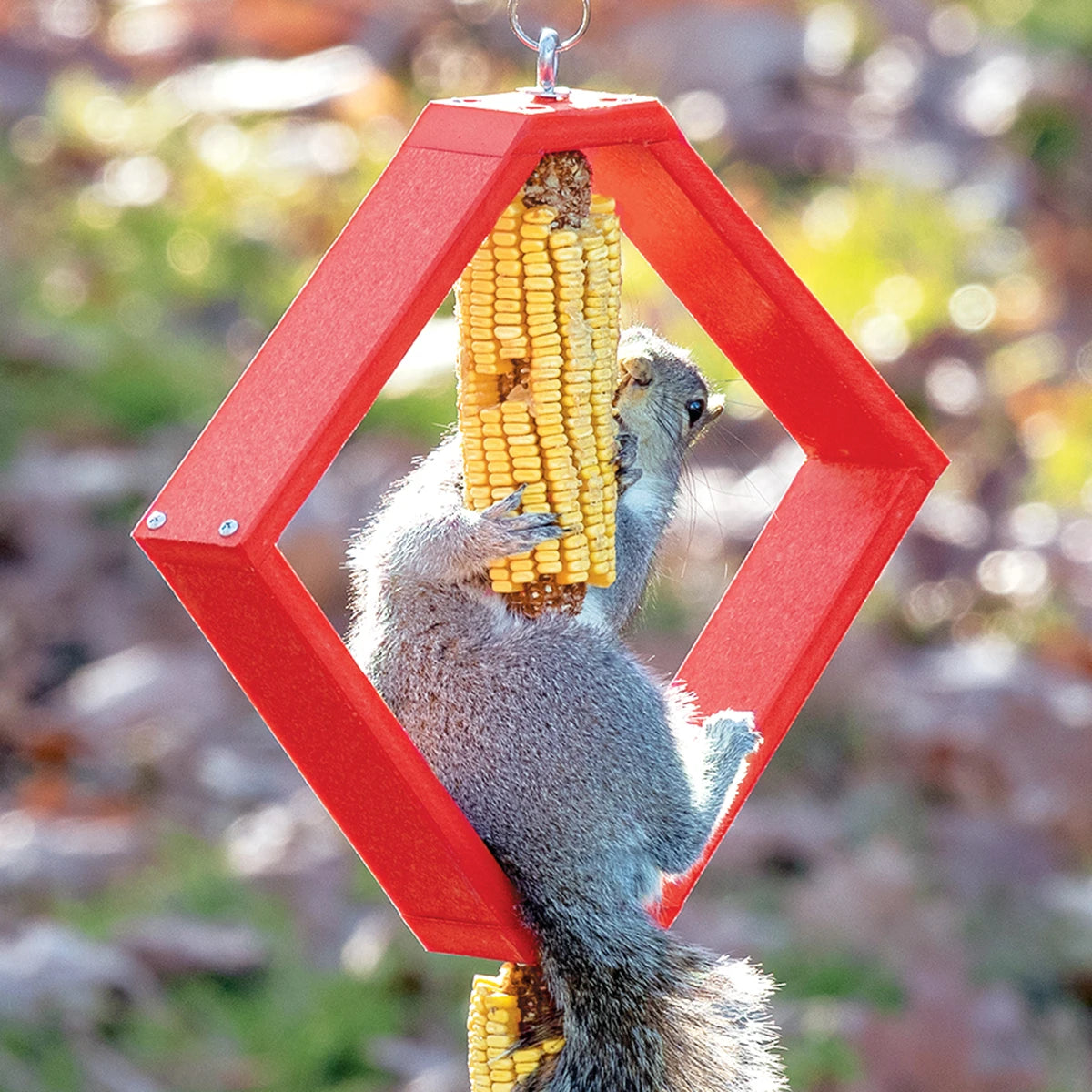 Duncraft Spinning Squirrel Feeder