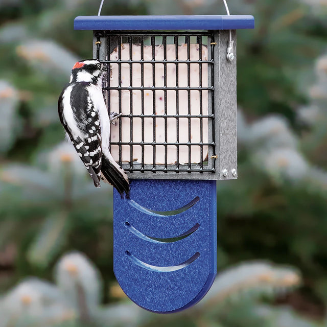 Duncraft Bird-Safe® Tail Prop Suet Feeder with blue tail support, holds a suet cake, features wire grid for clinging, and supports woodpecker feeding.