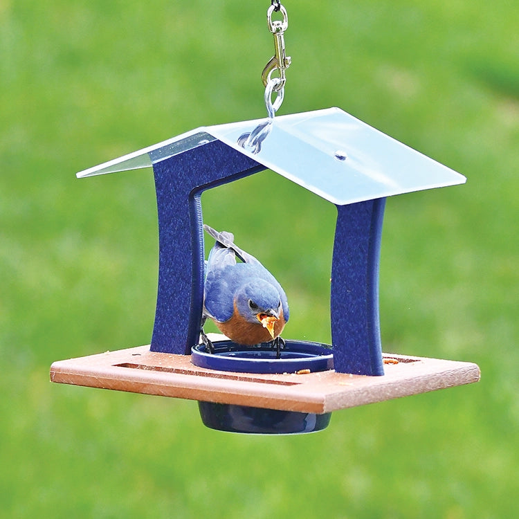 Duncraft Elegant Bluebird Feeder with metal roof and wooden tray, featuring a bluebird eating from a 7 oz. dish, ideal for compact outdoor spaces.