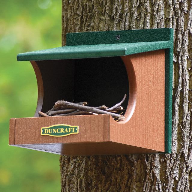 Duncraft Eco-Strong Robin Nesting Shelf mounted on a tree, featuring an open design with twigs inside, ideal for robins and other open-nesting birds.