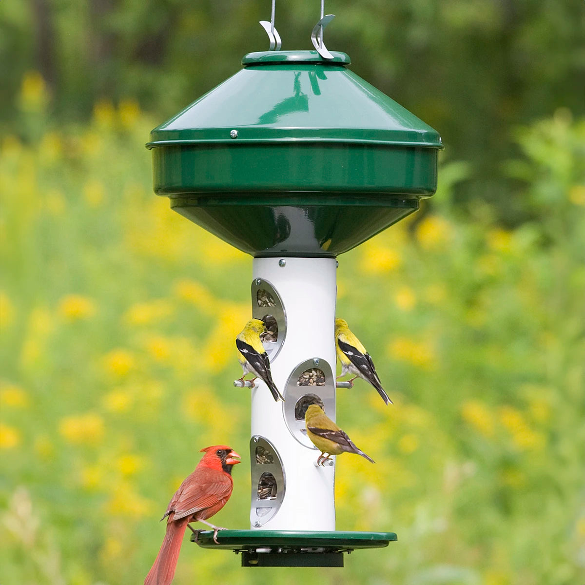 Heavy-Duty Bird Feeder with green top/base, white tube. Holds 18 lbs seed. Features 6 feeding ports, visible with goldfinches, cardinal perched. Ideal for varied bird sizes.