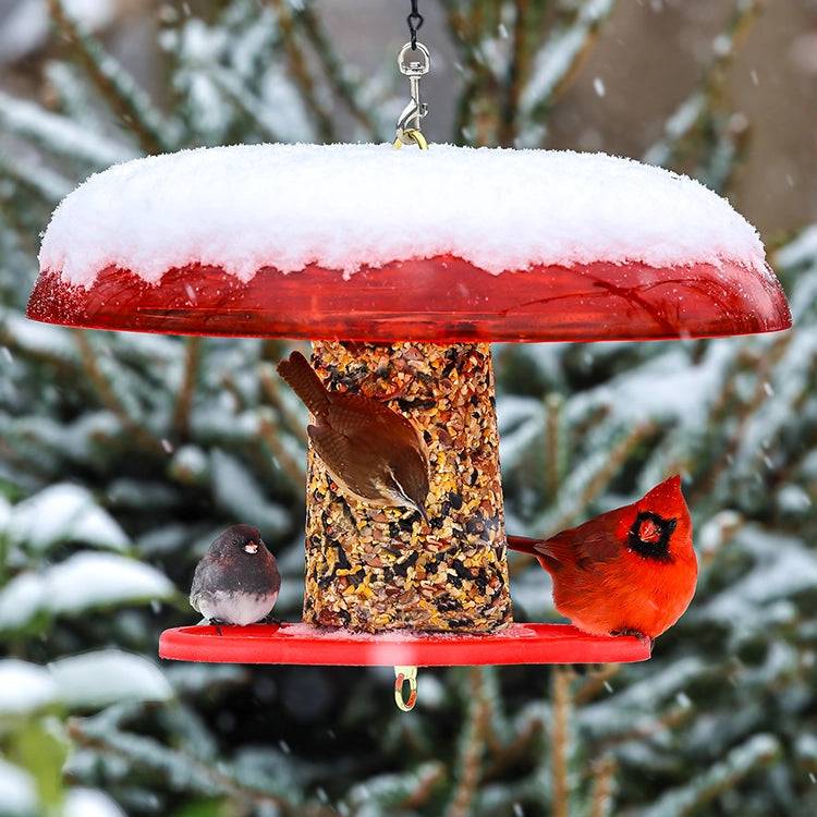 Duncraft Red Baffled Seed Cylinder Bird Feeder