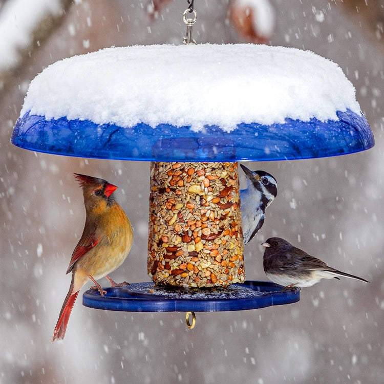 Duncraft Blue Baffled Seed Cylinder Bird Feeder