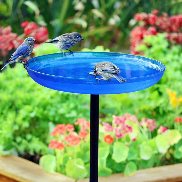 Three birds on a blue bird bath with a garden background