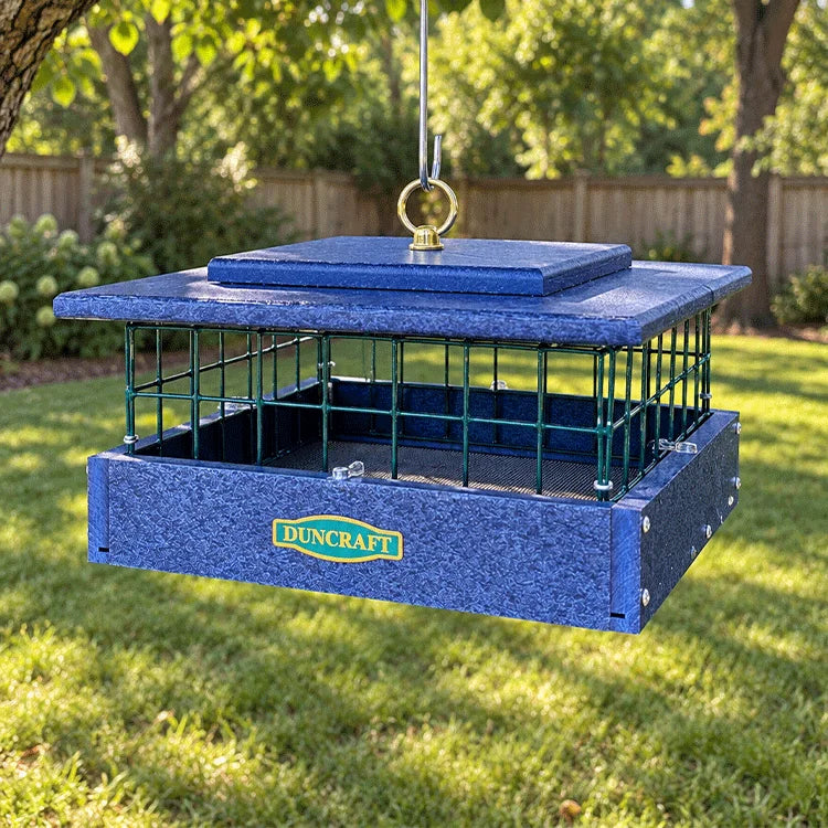 Blue Duncraft bird feeder hangs in a sunny garden, surrounded by trees and grass, ready to welcome birds.