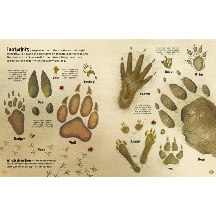 Woodland Book: Usborne features life-size animal footprints and interactive challenges, inspiring young explorers with nature activities and vibrant illustrations.
